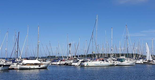 Hafen und seegastronomie stralsund gmbh