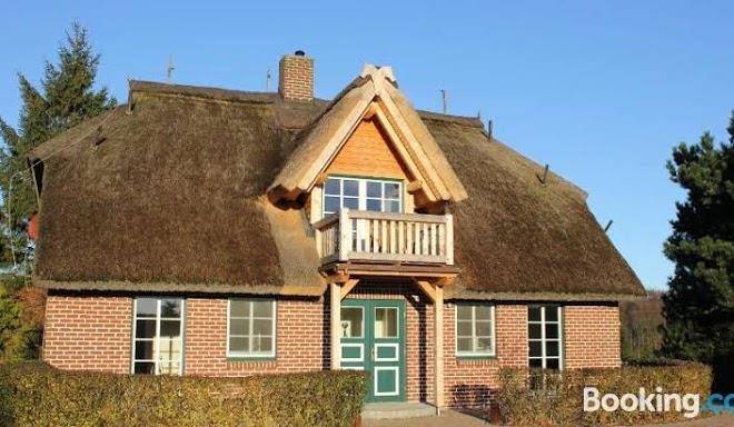 Haus sonnenblume