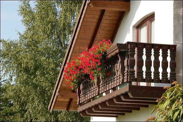 Ferienwohnpark Rursee Image