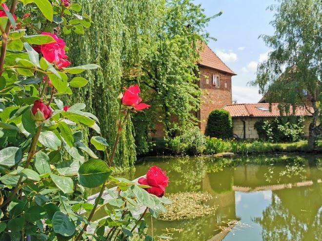 Hr Valckenburg Image