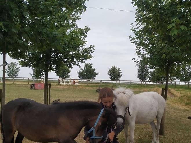 Markus Terbrack Image