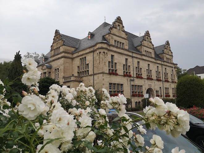 Zum Neuen Rathaus Image