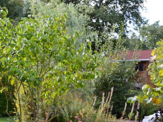 Ferienhaus eifel