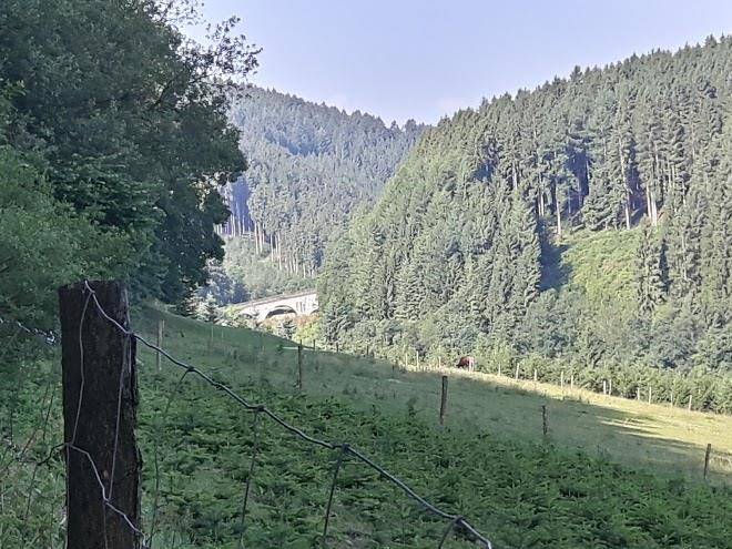 Sauerland ferienwohnung sallinghauschen