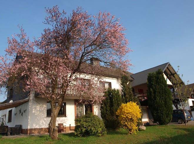 Vakantiehuis liesen