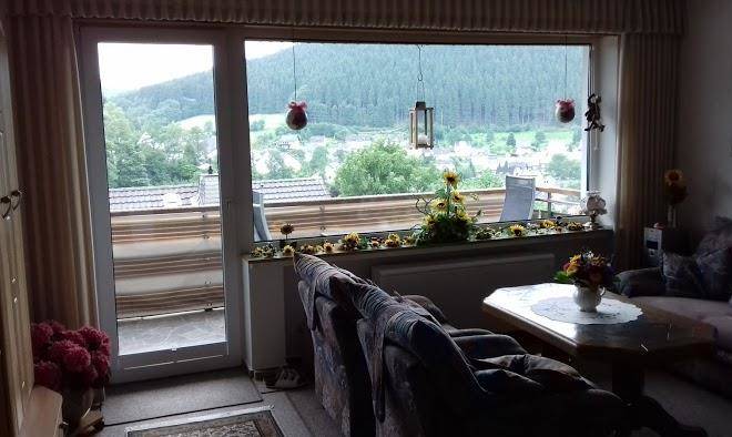 Waldhaus hochsauerland