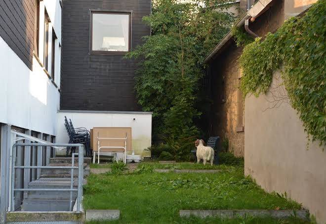 Hotel pension hages
