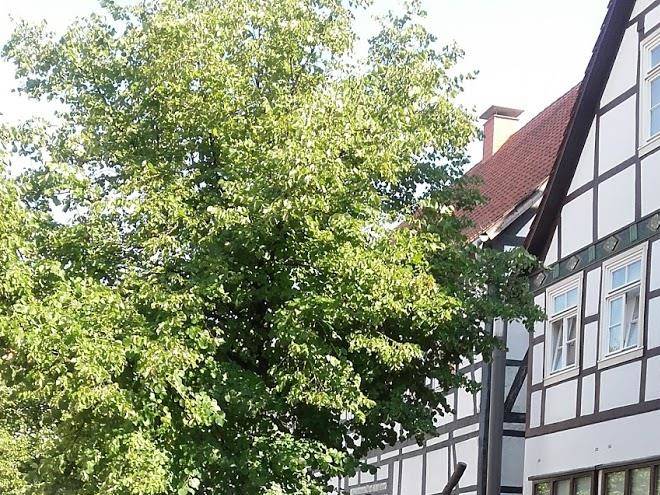 Hotel stadt lugde