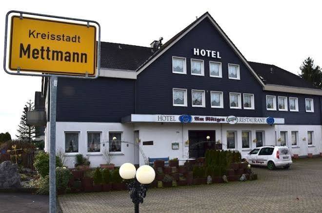 Am rottgen