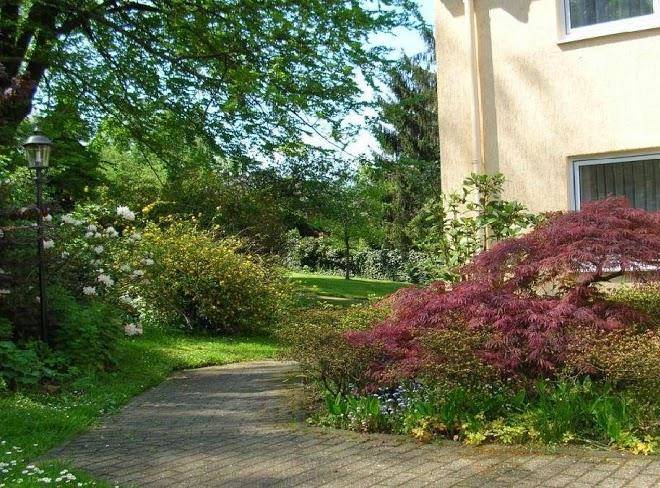 Hotel Haus Kronenthal Image