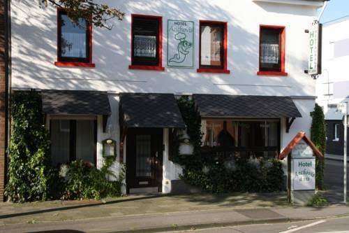 Hotel anchovis