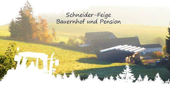 Bauernhof pension schneider feige