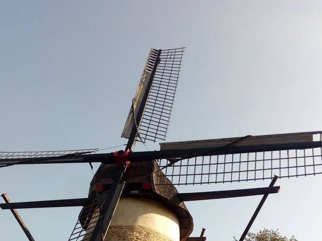 Haus Zur Tanne Image