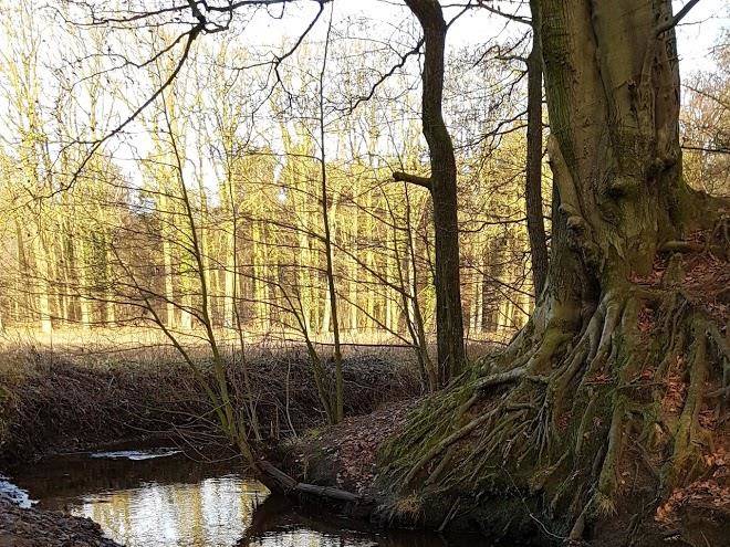 Landhotel Restaurant Heidecafe Image