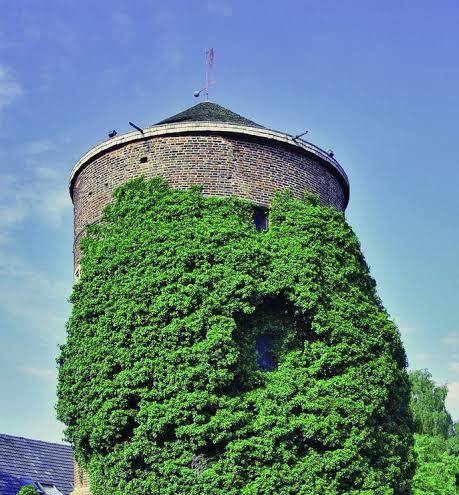 Hotel specht