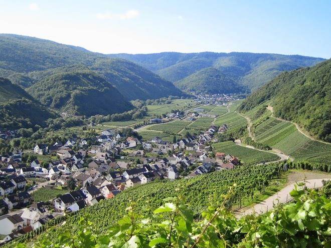Hotel zum sanger an der ahr