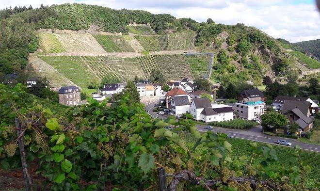 Weingut klosterhof gilles