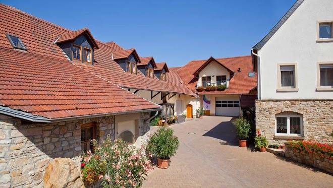 Weingut ellernhof gras
