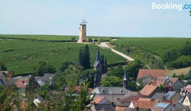 Weingut wetzler