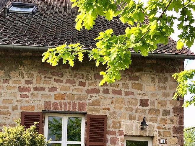 Gastehaus & cafe leeze