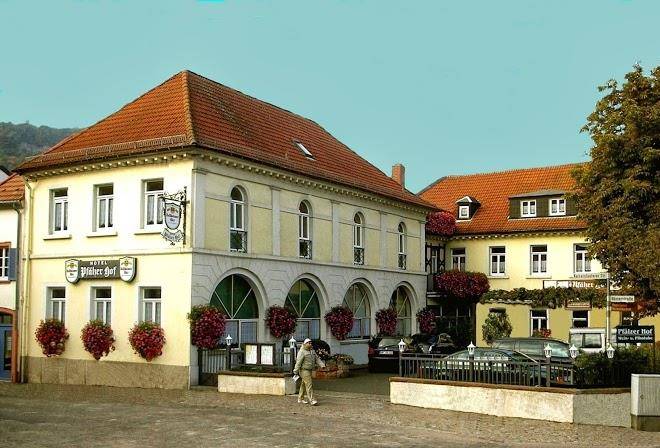 Hotel pfalzer hof