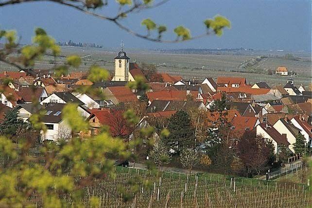 Pfalzer landhotel