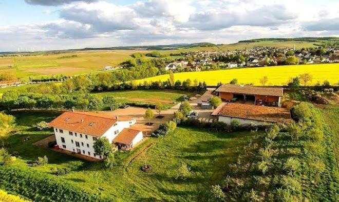 Bioweingut & Landhotel Ganz Image