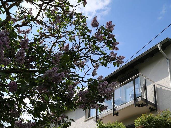Ferienhaus am barfuspfad