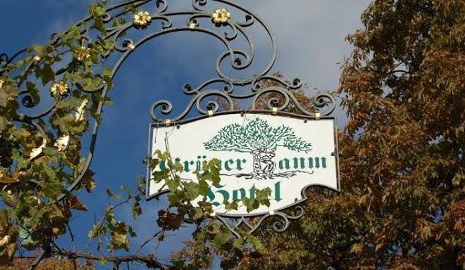 Hotel gruner baum