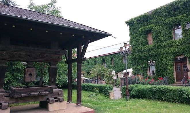 Weingut hohn zimmermann