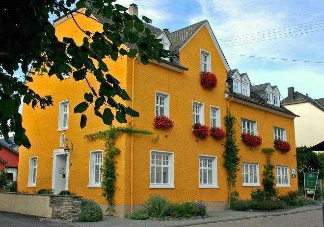 Bio weingut ernst hoffmann