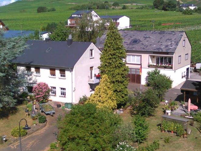 Ferien weingut dieter steuer