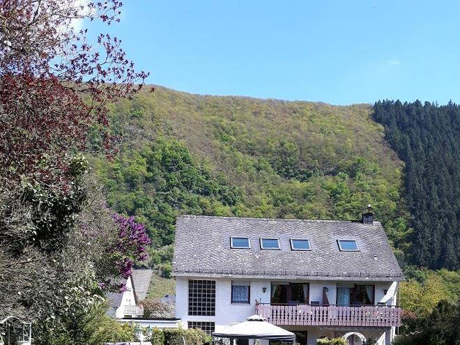 Hotel Haus Wurzgarten Image