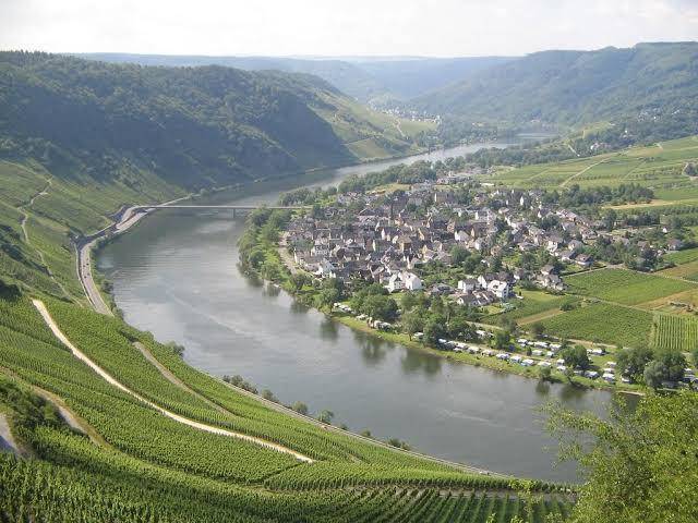 Hotel & weingut wolfshof