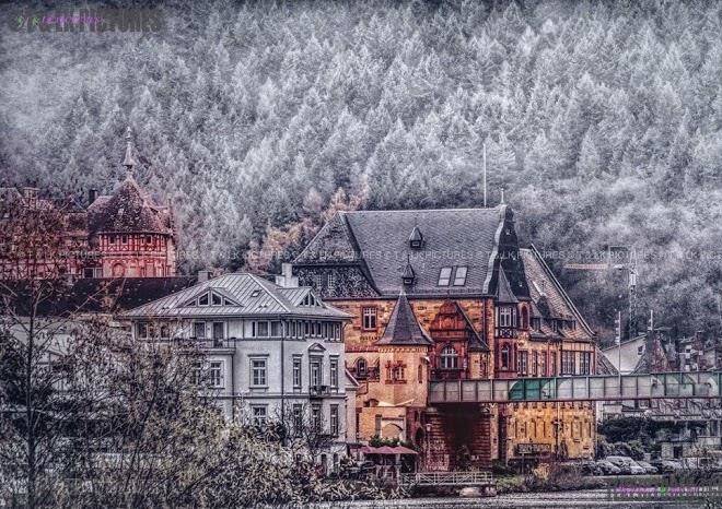 Maxhof weingut und ferienwohnungen