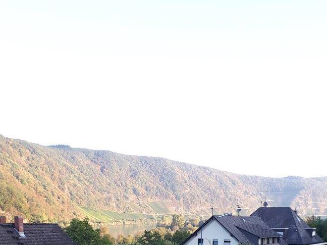 Mosel domizil