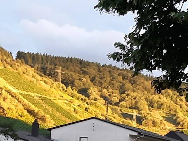 Pension haus carolin