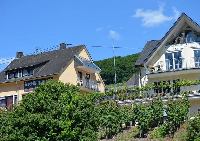 Sauer kettermann weine & wohnen