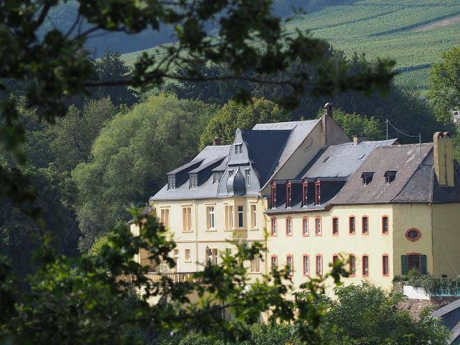 Weingut arthur melsheimer