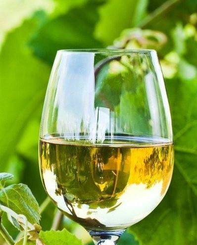 Weingut bollig muhlenhof carsten bollig
