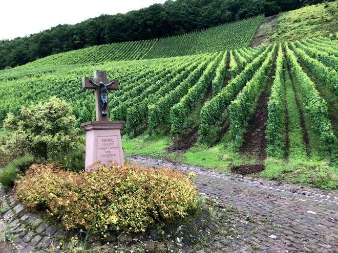 Weingut derkum moselwein und ubernachtungen