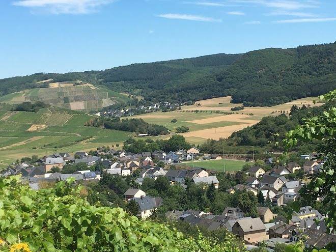 Weingut gutsweinstube gastehaus becker