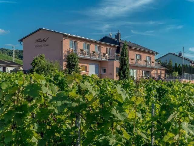Weingut tiliahof