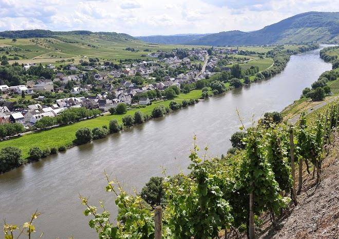 Weingut rainer heil