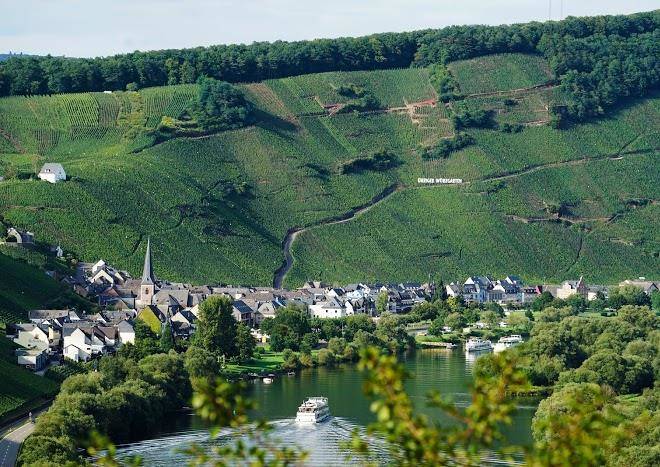 Weingut rebenhof
