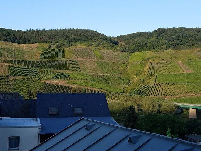 Weinhaus Burg Schneider Image