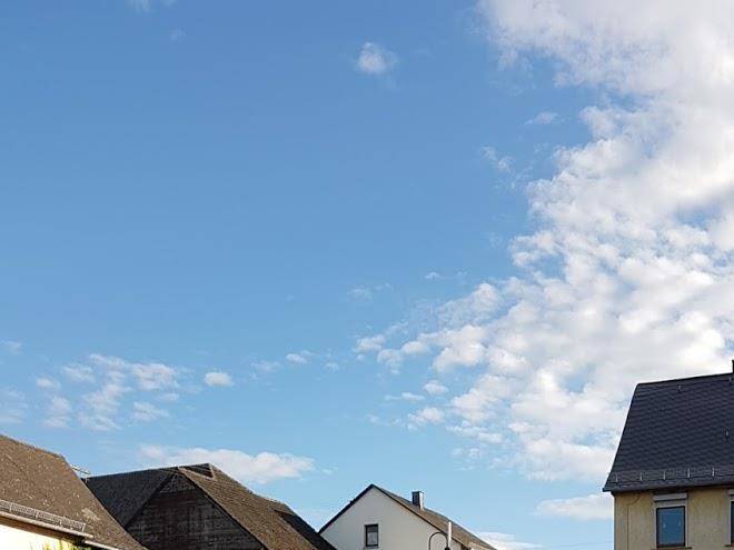 Conny kunstlerin sprinkhuizen