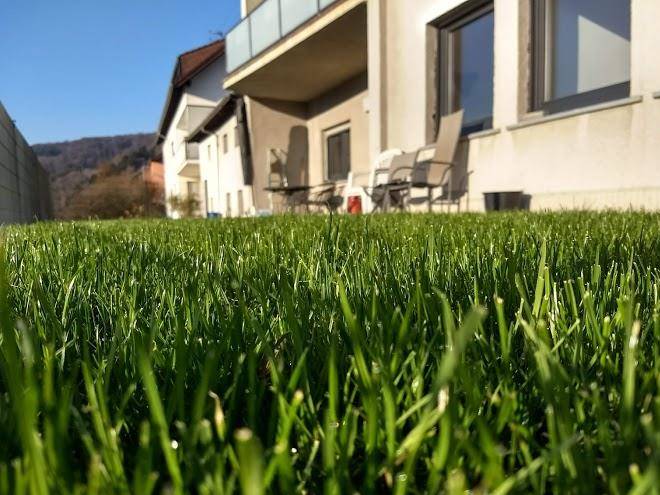 Ferienhaus fraulein frenz