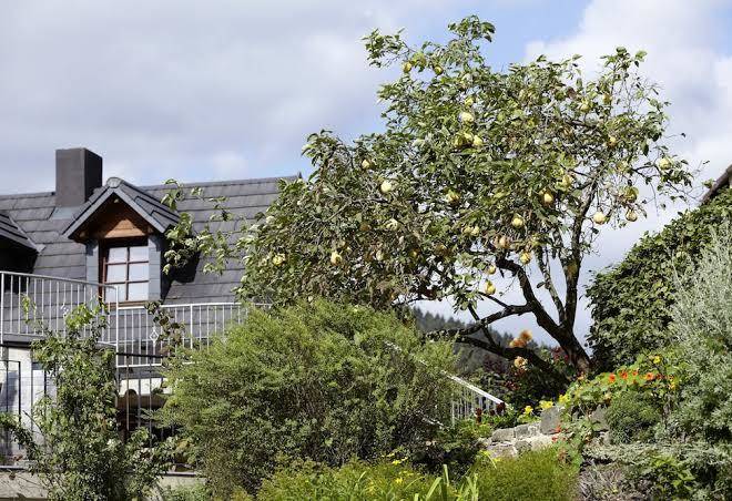 Hotel haus kylltal