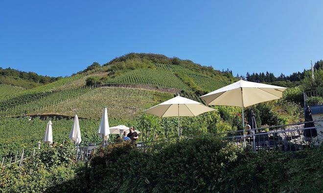Urlaubsweingut zecherhof andrea und bernd kaufmann